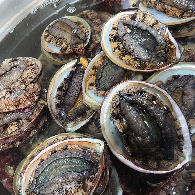 季節料理・旬彩割烹 味処おの